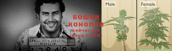 тгк Рославль