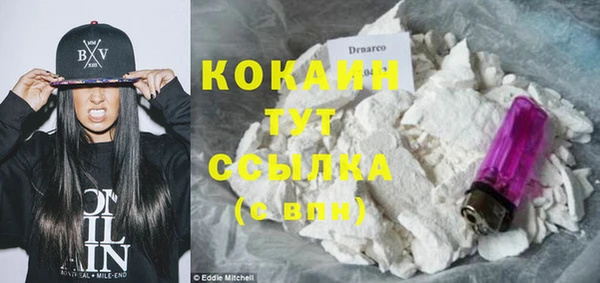 твердый Абаза