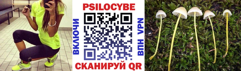 Галлюциногенные грибы Cubensis Мурино