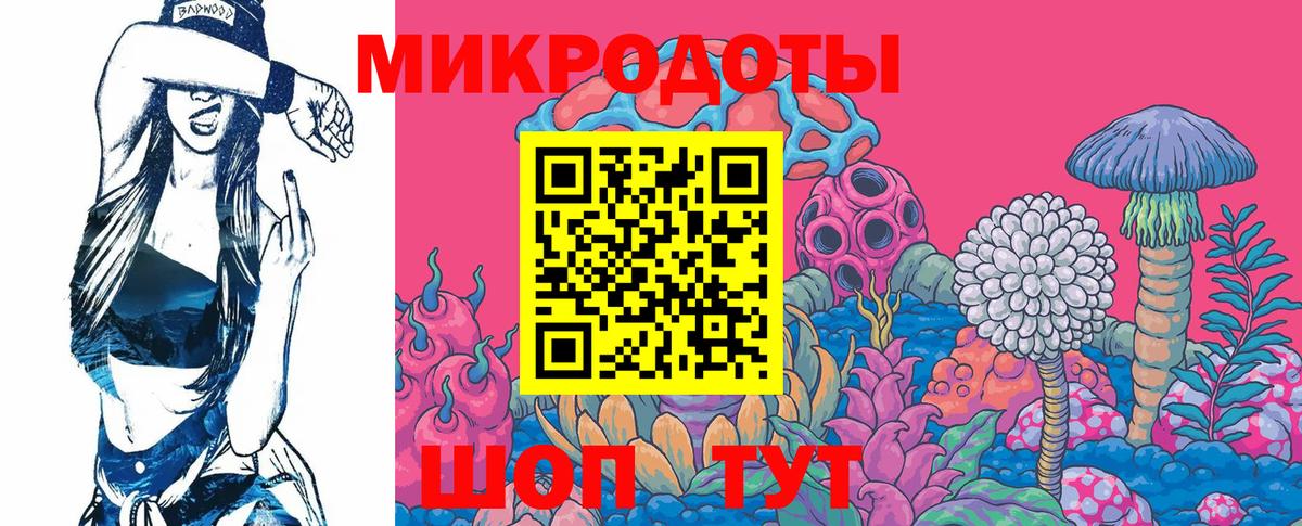 Псилоцибиновые грибы GOLDEN TEACHER  Вход с VPN  наркотики  Мурино 